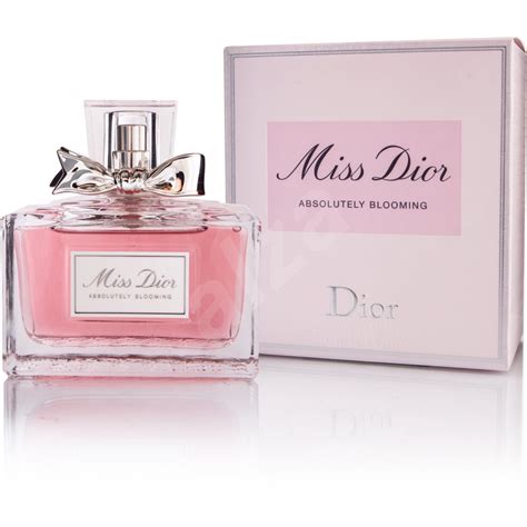 dior miss dior edp 100ml singapore|Miss Dior priceline.